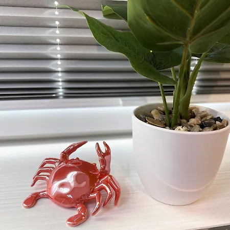 Meeresblick-fraeulein-krabbe-haus-3-we-40 Apartament Hohwacht